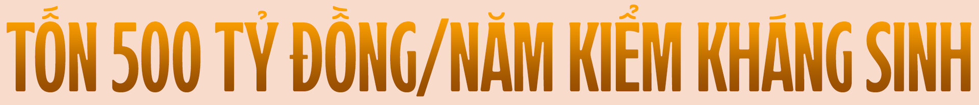 CEO 'vua tôm' Minh Phú: Thuyết phục người Việt ăn tôm sạch nhưng bất thành - 4