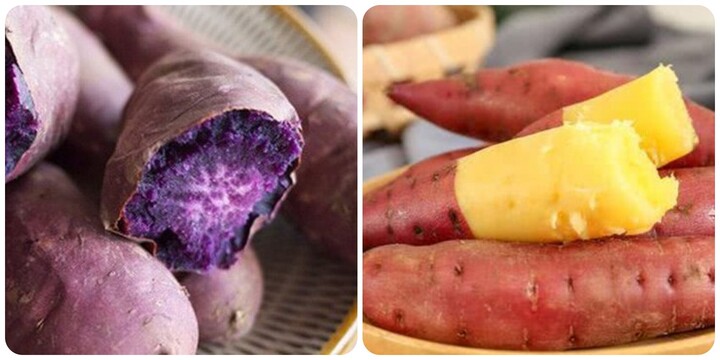 Ai không nên ăn khoai lang?