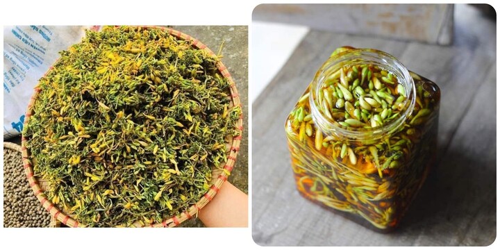 6 tác dụng của hoa đu đủ đực với sức khoẻ