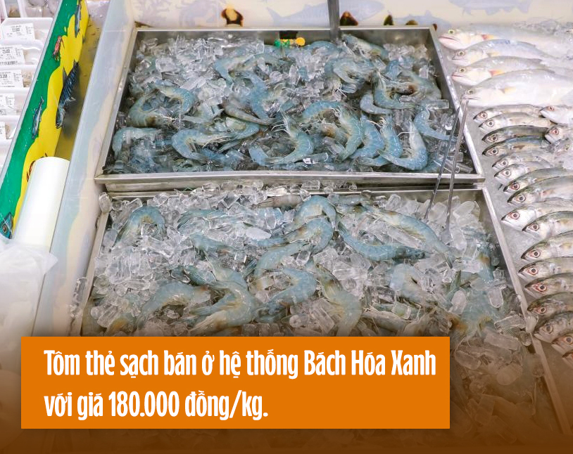 CEO 'vua tôm' Minh Phú: Thuyết phục người Việt ăn tôm sạch nhưng bất thành - 3